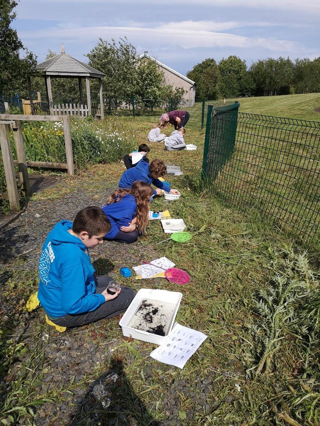 Image of Pond dipping